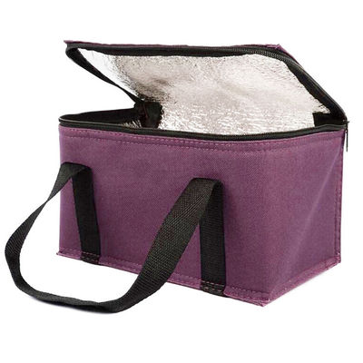 OEM Custom Printing Soft Insulated Cooler Bag 21*13*14 Cm Với 4L 16L 32L Capacity
